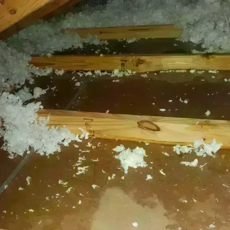 Attic Water Damage in Midland, WA